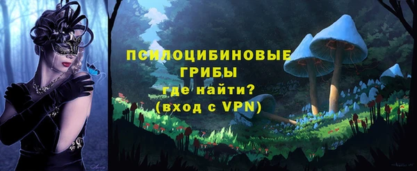 соль ск Белокуриха